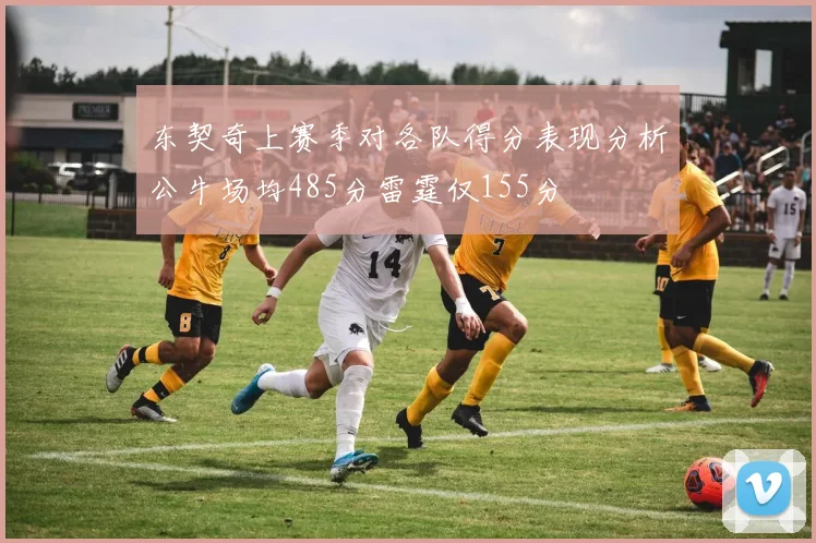 东契奇上赛季对各队得分表现分析公牛场均485分雷霆仅155分